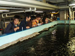 琵琶湖博物館、バックヤードの見学