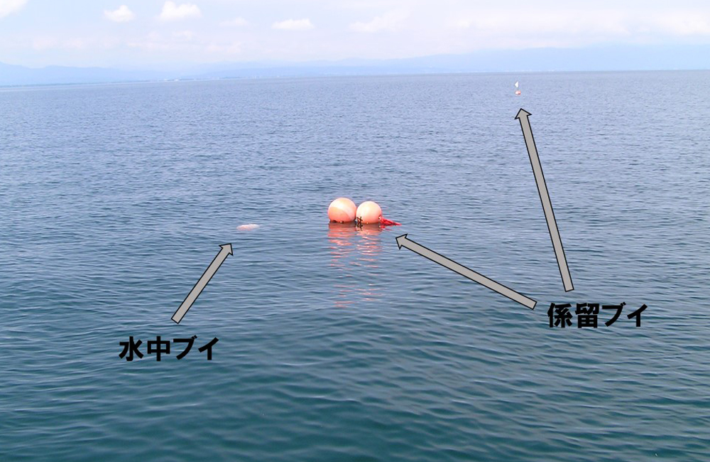 琵琶湖に係留する測器やブイなどを準備しているようす